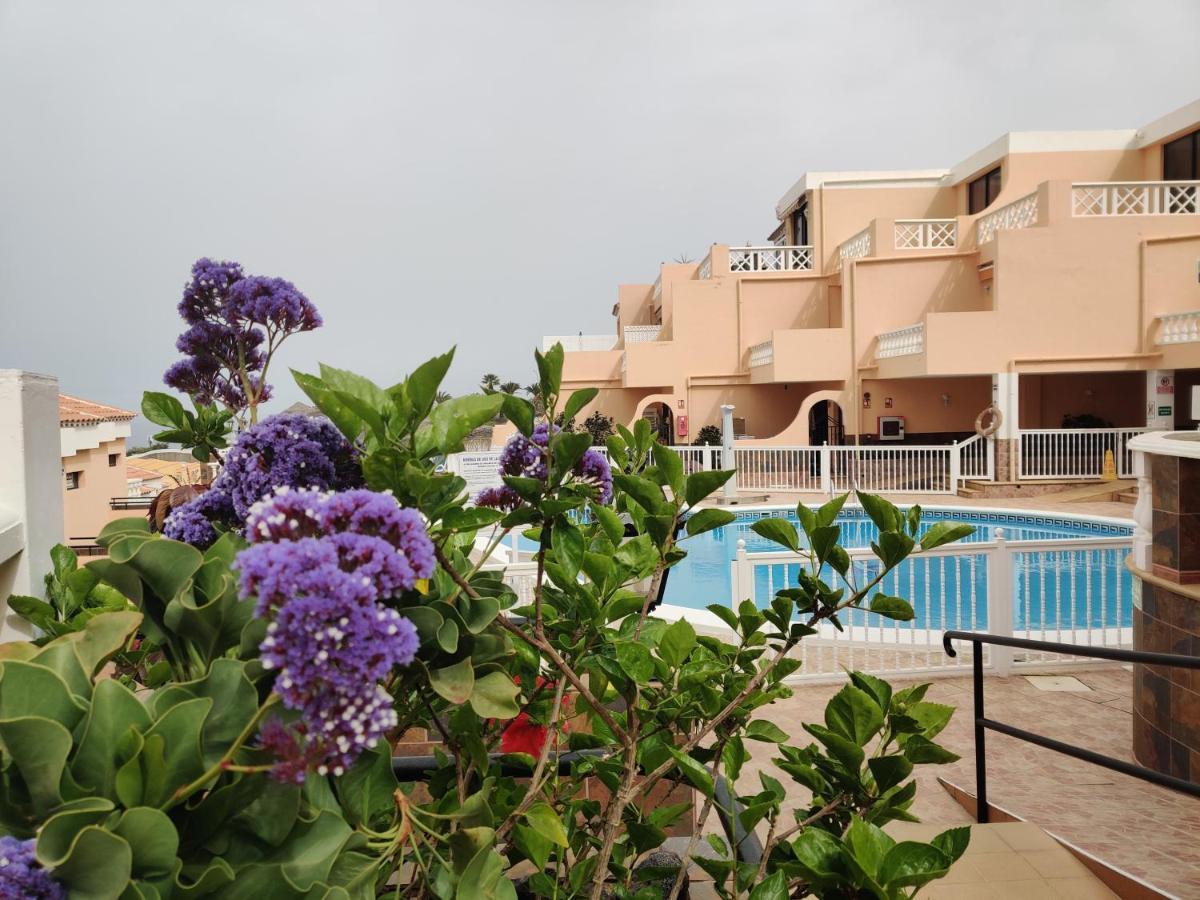 Apartment Golden Paradise Seaview